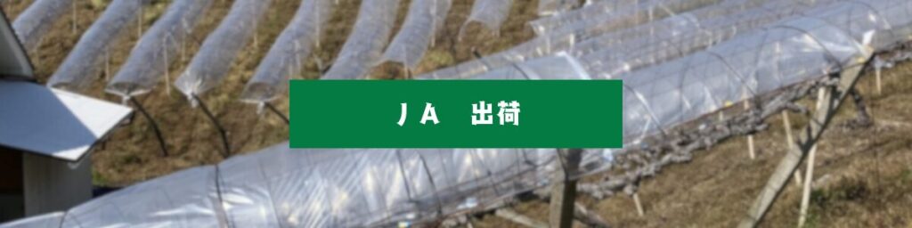 JA出荷