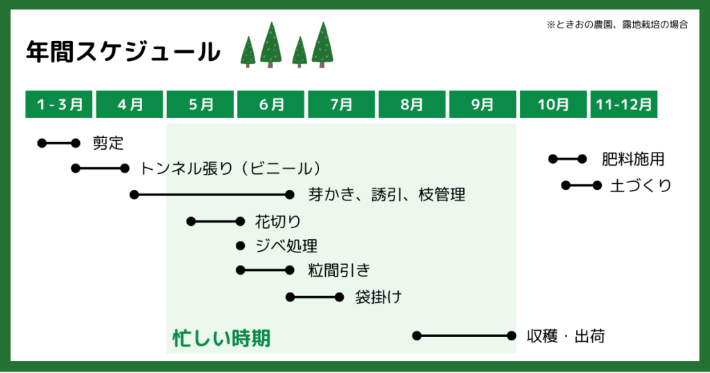 ぶどう栽培スケジュール