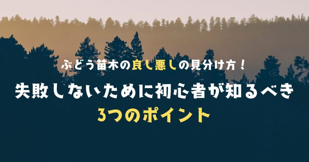 ぶどう苗木の良し悪しの見分け方！失敗しないために初心者が知るべき3つのポイント。